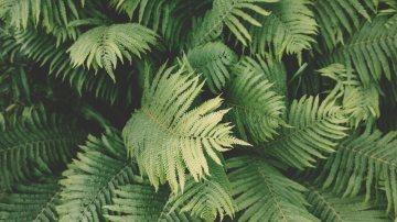 АЮУЛГҮЙ БАЙДАЛ